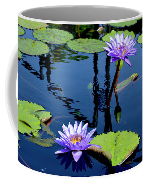 Water Lily Coffee Mug featuring the photograph Water Lily by Lisa Blake