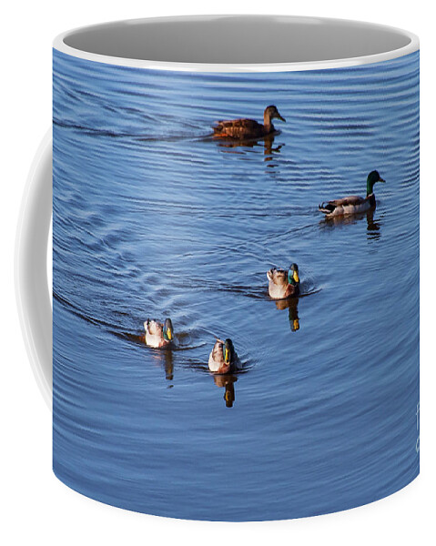 Outer Banks Coffee Mug featuring the photograph Water Outing by Bob Phillips