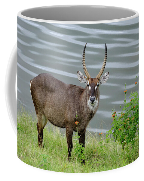 Africa Coffee Mug featuring the photograph Waterbuck and Flowers near Momela Lakes by Mary Lee Dereske