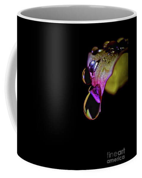 Watercolors Coffee Mug featuring the photograph Watercolors by Mitch Shindelbower