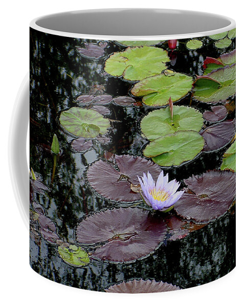 Lavender Coffee Mug featuring the photograph Waterlily - 001 by Shirley Heyn