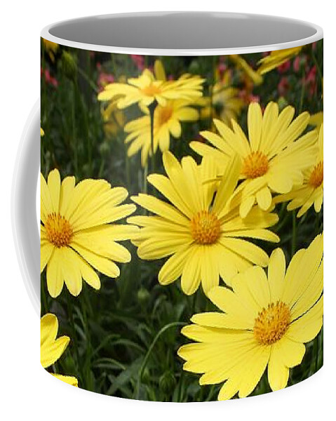 Flora Coffee Mug featuring the photograph Waves of Yellow Daisies by Bruce Bley