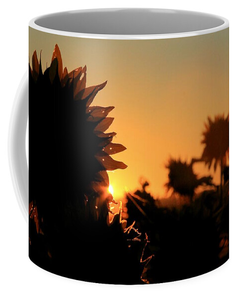 Farms Coffee Mug featuring the photograph We Are Sunflowers by Chris Berry
