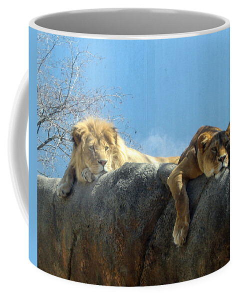 Lion Coffee Mug featuring the photograph We Are Tired by George Jones