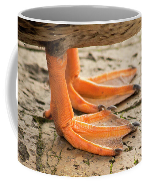 Duck Coffee Mug featuring the photograph Webbed Feet by David Stasiak