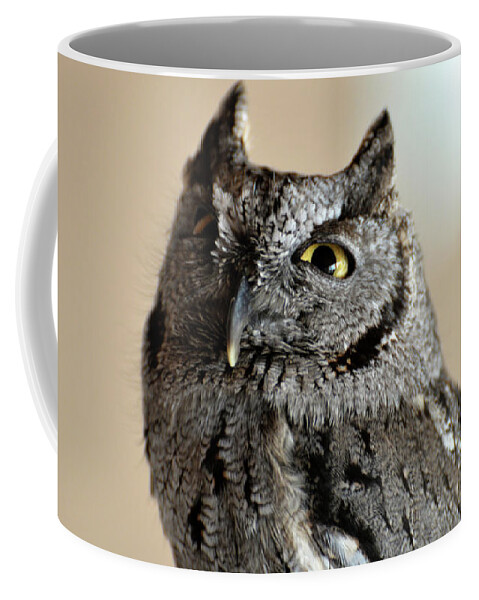 Denise Bruchman Coffee Mug featuring the photograph Wee Western Screech Owl by Denise Bruchman