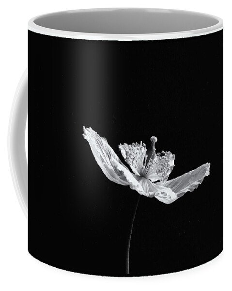 Poppy Coffee Mug featuring the photograph Welsh Poppy Monochrome by Jeff Townsend