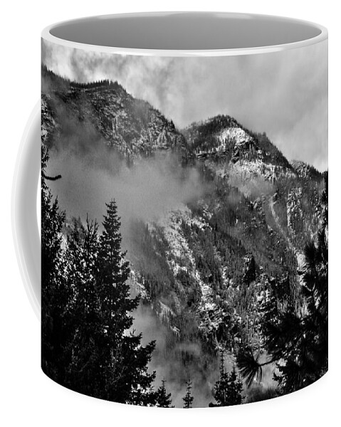 National Coffee Mug featuring the photograph Wenatchee National Forest Black and White 2 by Pelo Blanco Photo