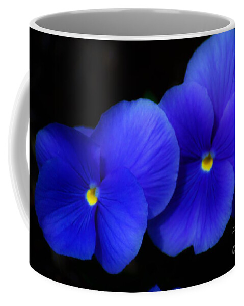 Flowers Coffee Mug featuring the photograph West Virginia flower 1 by Merle Grenz