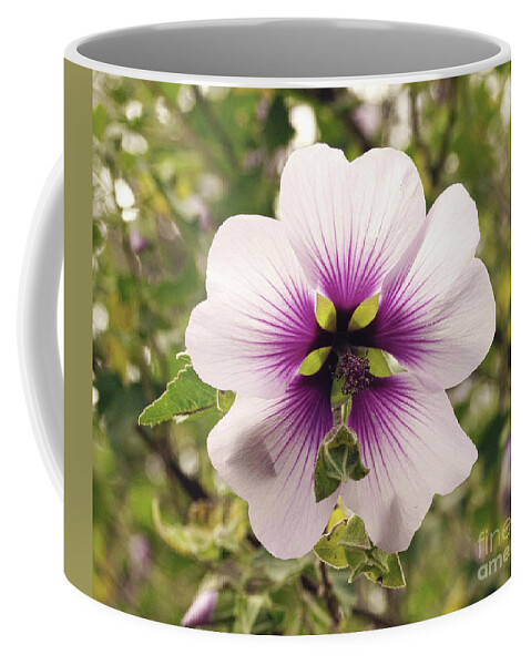 Flower Coffee Mug featuring the photograph Western Australian Native Hibiscus by Cassandra Buckley