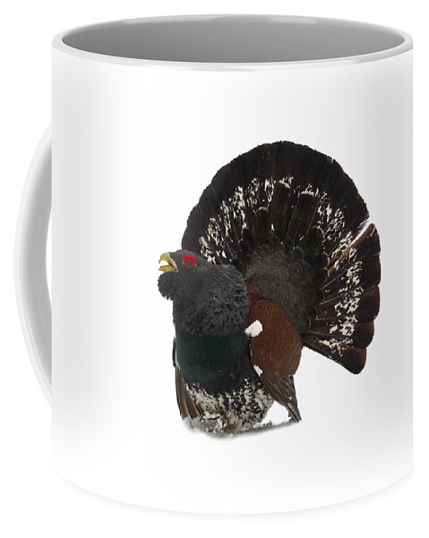 Finland Coffee Mug featuring the photograph Western capercaillie transparent by Jouko Lehto