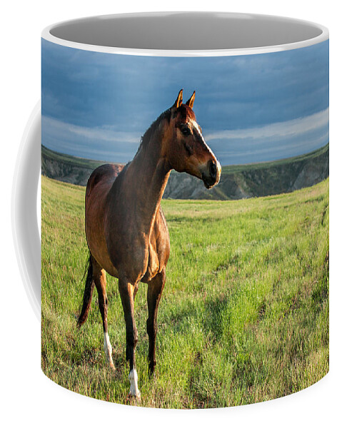 Prairie Coffee Mug featuring the photograph Western Stallion by Todd Klassy
