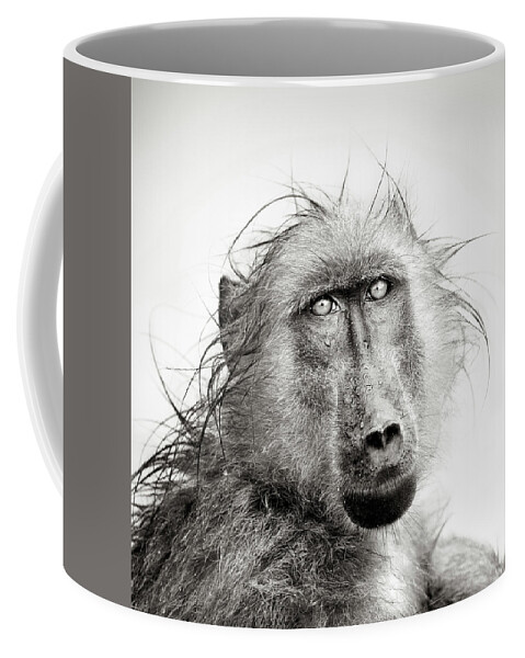 Baboon Coffee Mug featuring the photograph Wet Baboon portrait by Johan Swanepoel