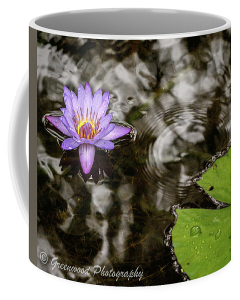 Lily Coffee Mug featuring the photograph Wet Lily by Les Greenwood