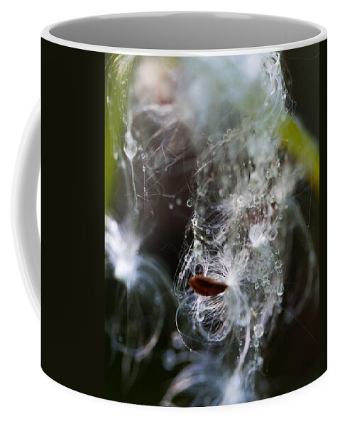 Droplets Coffee Mug featuring the photograph Wet Seed by Dart Humeston