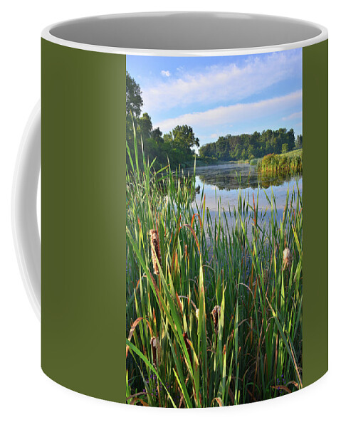Volo Bog Natural Area Coffee Mug featuring the photograph Wetland along Sullivan Lake Road by Ray Mathis