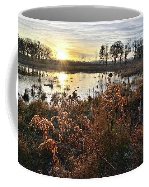 Glacial Park Coffee Mug featuring the photograph Wetland Sunrise in Hackmatach National Wildlife Refuge by Ray Mathis