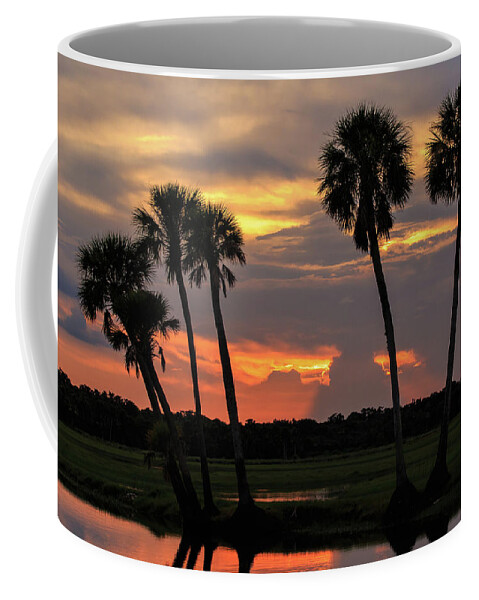 Florida Coffee Mug featuring the photograph Wetlands Sunset by Stefan Mazzola