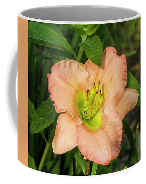 Peach Coffee Mug featuring the photograph What A Peach by Kathy Clark