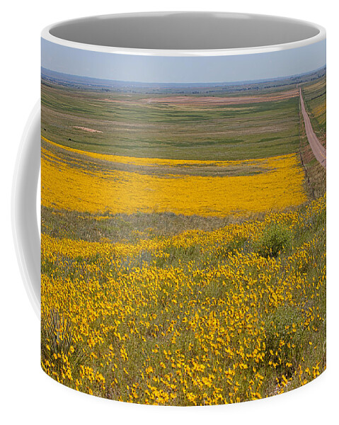 Yellow Wildflowers Coffee Mug featuring the photograph What Lies Ahead by Jim Garrison