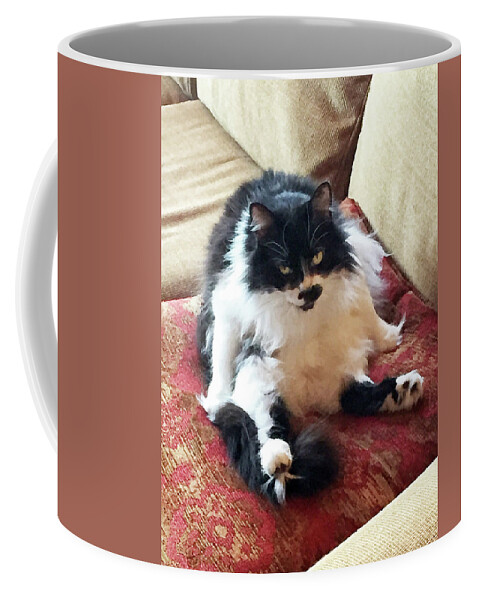 Cat Coffee Mug featuring the photograph What? by Pamela Showalter