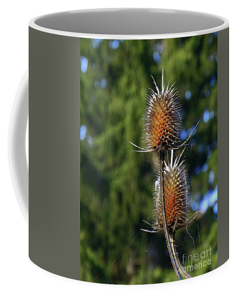 Velcro Coffee Mug featuring the photograph What Remains Behind Us by Jasna Dragun