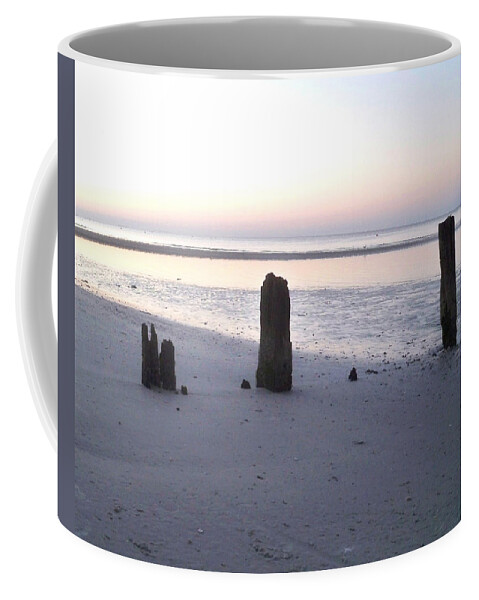 Florida Coffee Mug featuring the photograph What Remains by Chris Andruskiewicz