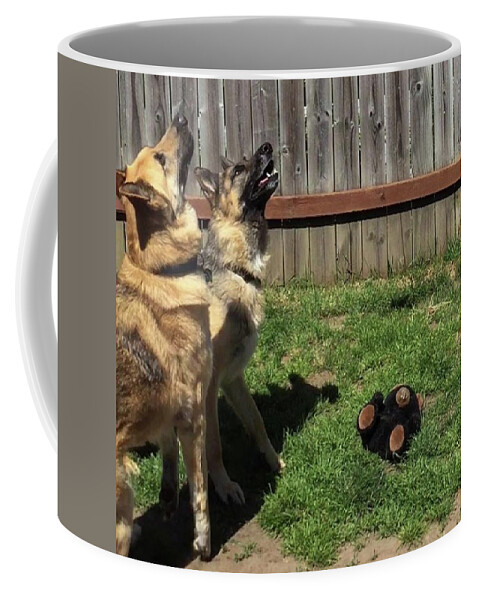 Teddy Coffee Mug featuring the photograph whatcha #looking At #teddy? yeah by Jerry Renville