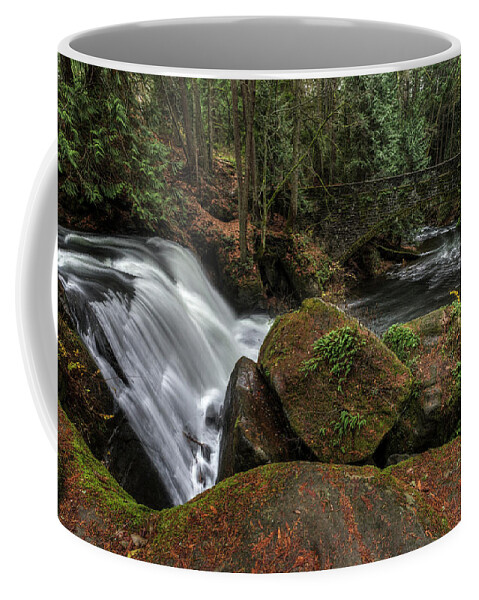 Whatcom Falls Coffee Mug featuring the photograph Whatcom Falls by Mark Kiver