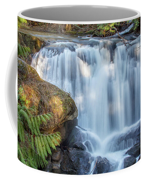 Whatcom Falls Coffee Mug featuring the photograph Whatcome Falls by Tony Locke