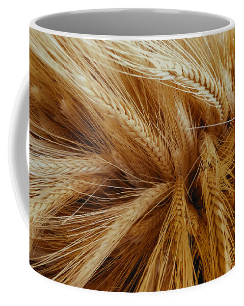 Wheat Coffee Mug featuring the photograph Wheat in the Sunset by Nathan Little