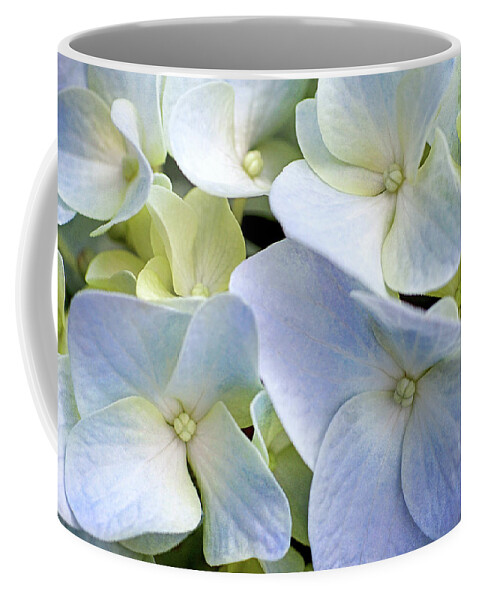 Blue Flowers Coffee Mug featuring the photograph When I See You by Kathi Mirto