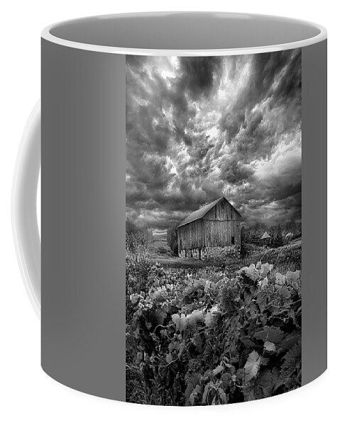 Summer Coffee Mug featuring the photograph Where Ghosts of Old Dwell and Hold by Phil Koch