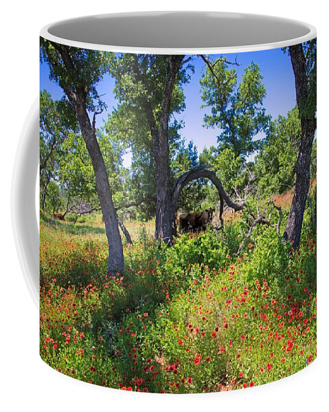 Cattle Coffee Mug featuring the photograph Where the Cattle Roam by Lynn Bauer