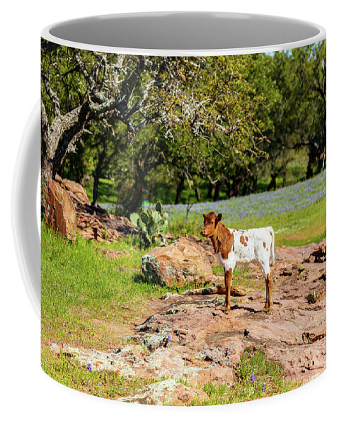 African Breed Coffee Mug featuring the photograph Where's My Mother? by Raul Rodriguez