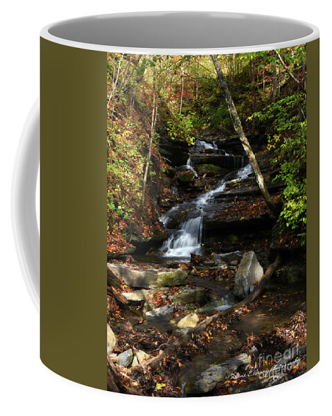 Diane Berry Coffee Mug featuring the photograph Whisper Falls by Diane E Berry