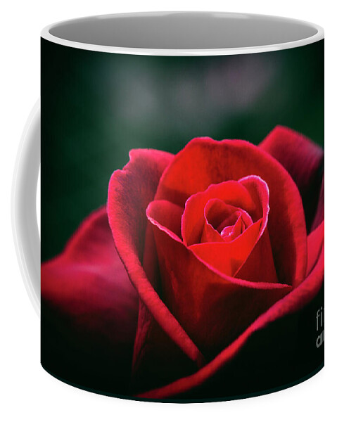 Rose Coffee Mug featuring the photograph Whispers of Passion by Linda Lees