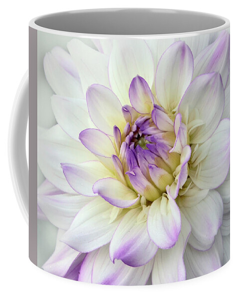 Purple Dahlia Coffee Mug featuring the photograph White and Purple Dahlia by Ann Bridges