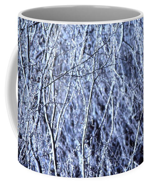Abstract Coffee Mug featuring the photograph White Branches by Lyle Crump