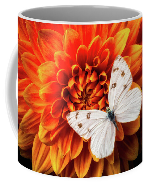 Color Coffee Mug featuring the photograph White Butterfly On Dahlia by Garry Gay