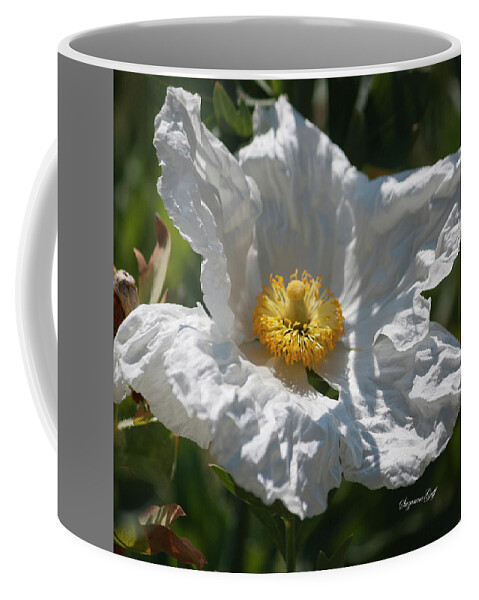 Photograph Coffee Mug featuring the photograph White Cactus Flower by Suzanne Gaff
