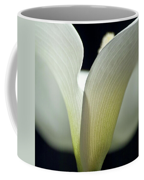 Calla Coffee Mug featuring the photograph White Calla Lily by Heiko Koehrer-Wagner