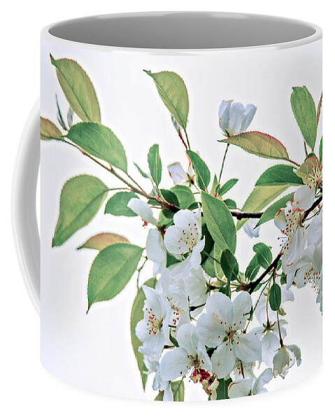 Spring. Blossoms Coffee Mug featuring the photograph White Crabapple Blossoms by Skip Tribby