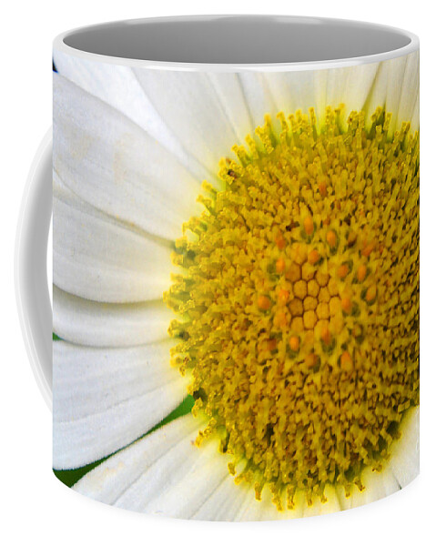 Daisy Coffee Mug featuring the photograph White Daisy Close Up by Amy Lucid