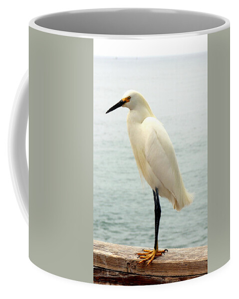 White Coffee Mug featuring the photograph White Egret Photograph by Kimberly Walker