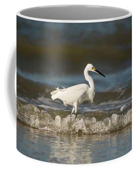 White Coffee Mug featuring the photograph White Egret Wading on the Shoreline by Artful Imagery
