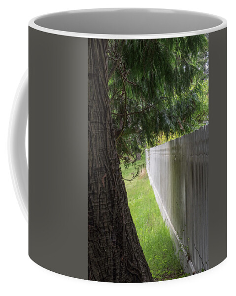 Oregon Coast Coffee Mug featuring the photograph White Fence And Tree by Tom Singleton