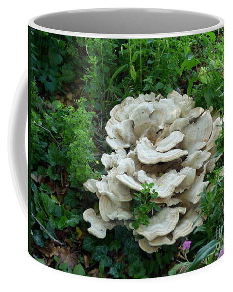 Fungus Coffee Mug featuring the photograph White Fungus by Charles Robinson