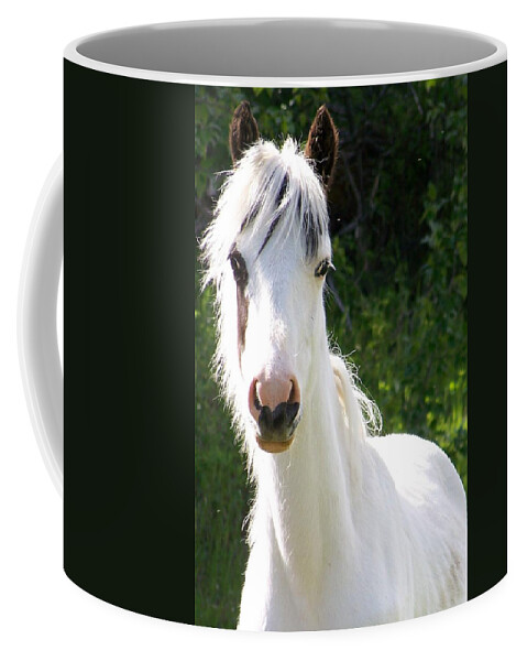 Curious Coffee Mug featuring the photograph White Indian Pony by Greg Hammond