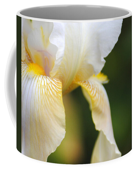 Iris Coffee Mug featuring the photograph White Iris I by Jai Johnson